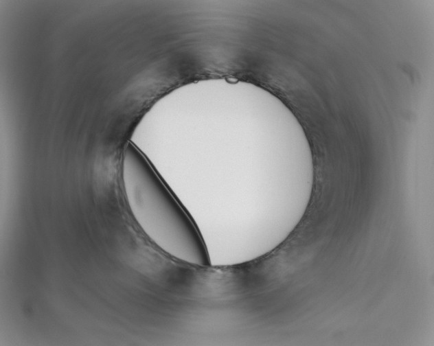 X0000112050768200909010942
