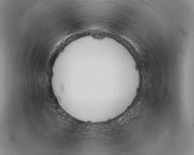 X0000112050776200909010941