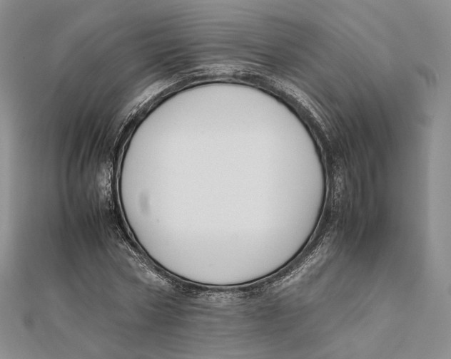 X0000112050778200909010941