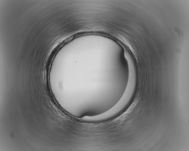X0000112050781200909010941