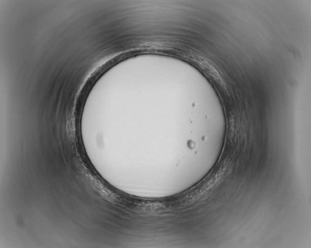 X0000112050784200909010941