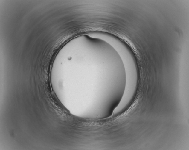 X0000112050785200909010941
