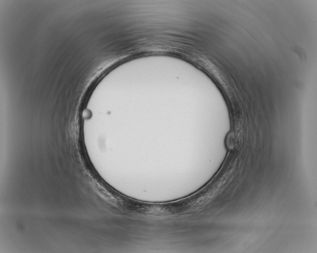 X0000112050787200909010941
