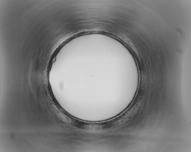 X0000112050789200909010941
