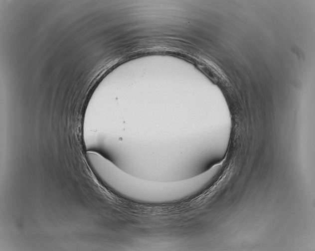 X0000112050793200909010941