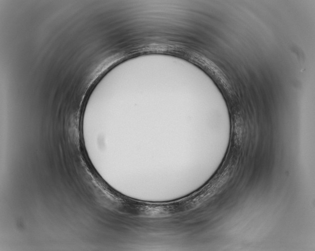 X0000112050794200909010941