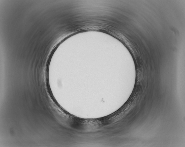 X0000112050795200909010941