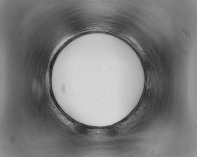 X0000112050796200909010941