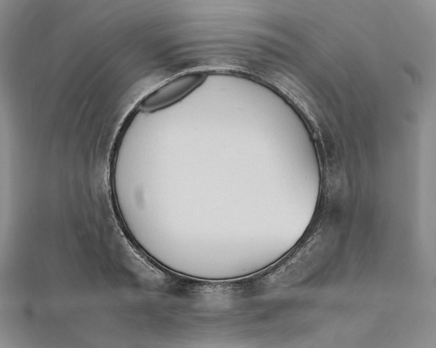 X0000112050797200909010941