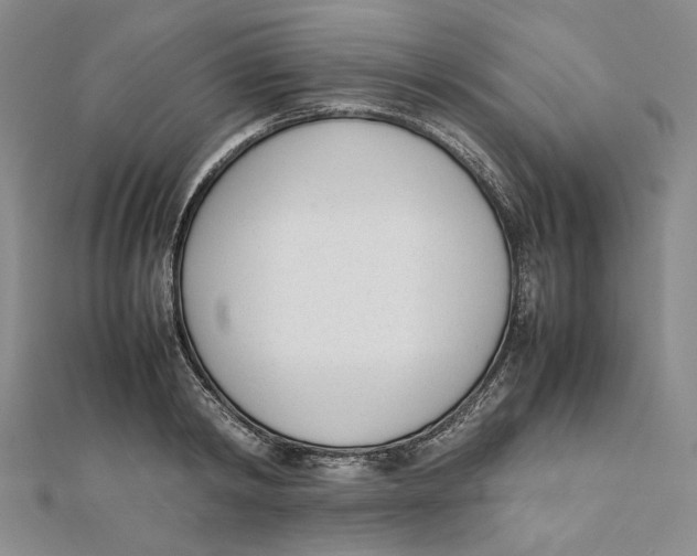 X0000112050798200909010941