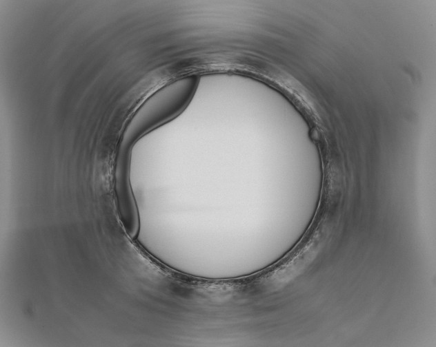 X0000112050801200909010941