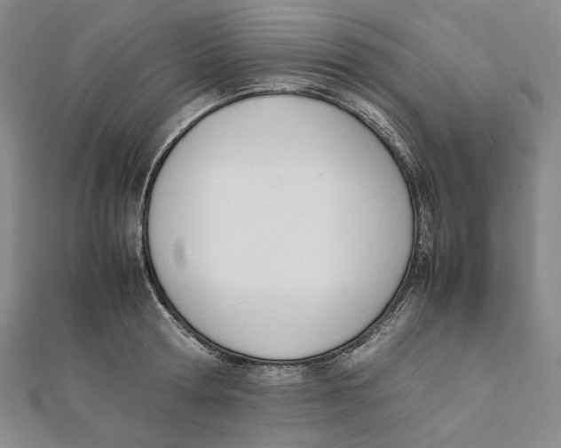 X0000112050802200909010941
