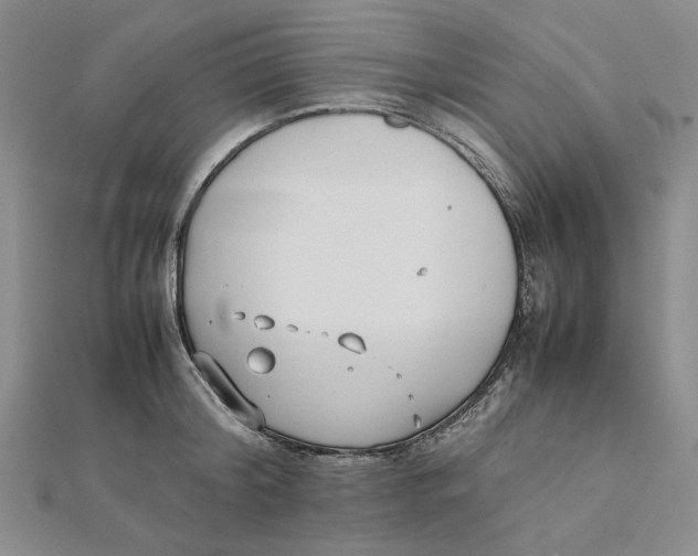 X0000112050804200909010941