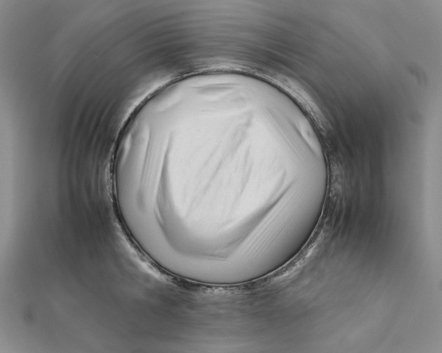 X0000112050806200909010941