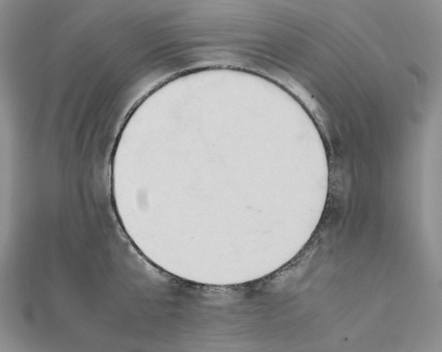 X0000112050807200909010941