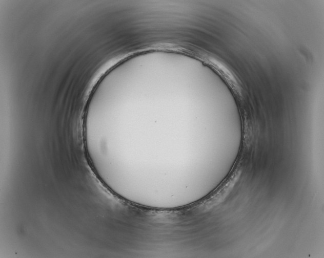 X0000112050808200909010941