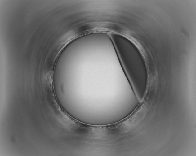 X0000112050809200909010941