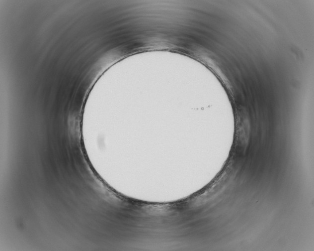 X0000112050810200909010941