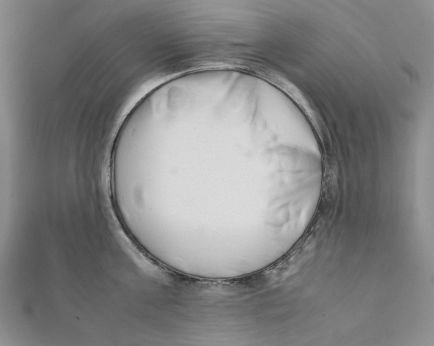 X0000112050811200909010941