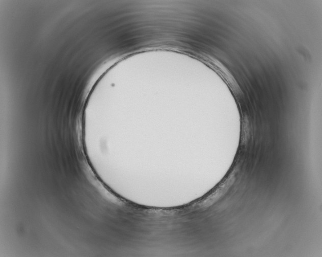 X0000112050812200909010941