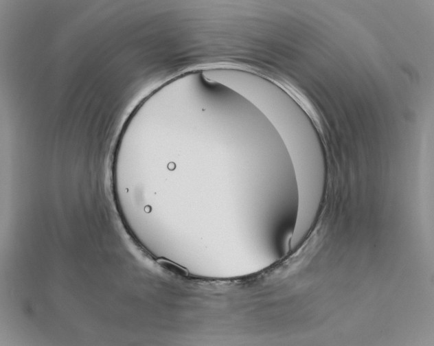 X0000112050813200909010941