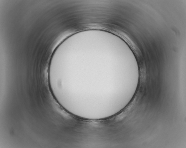 X0000112050814200909010941