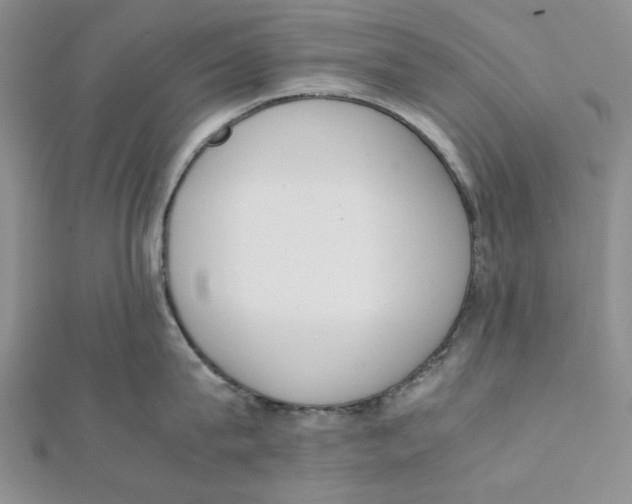 X0000112050815200909010941