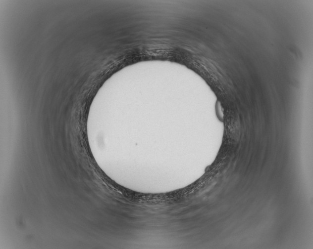 X0000112050817200909010940