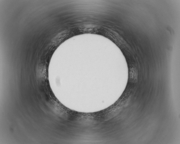 X0000112050820200909010940
