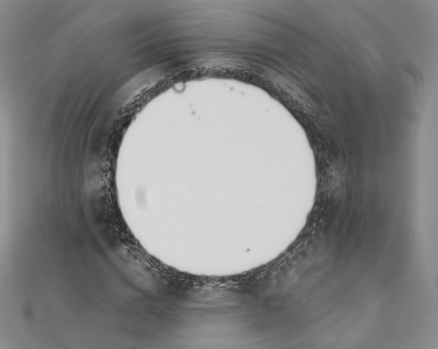 X0000112050824200909010940