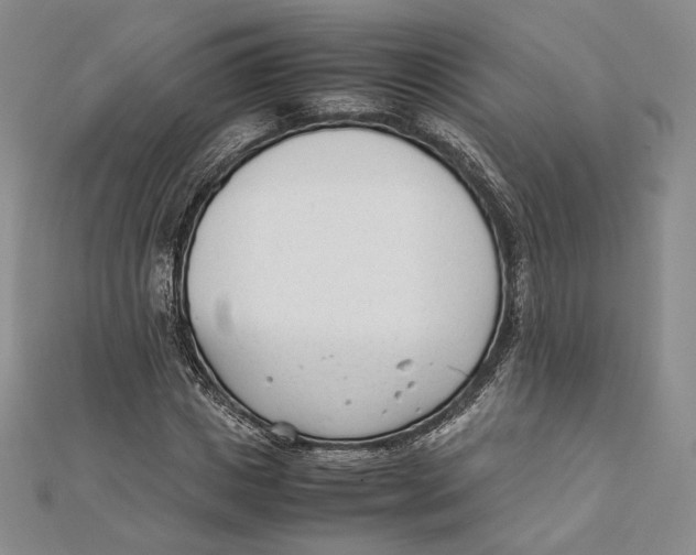 X0000112050825200909010940