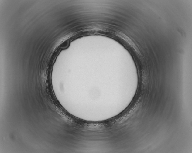 X0000112050826200909010940