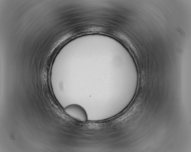 X0000112050827200909010940