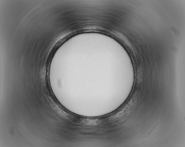 X0000112050831200909010940