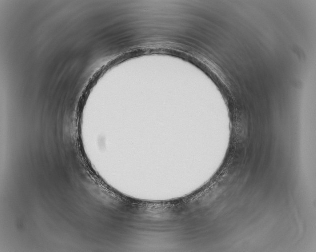 X0000112050832200909010940