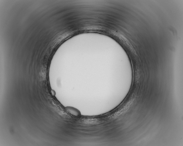 X0000112050833200909010940