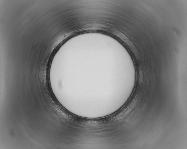 X0000112050834200909010940