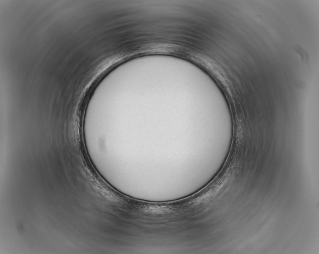 X0000112050835200909010940