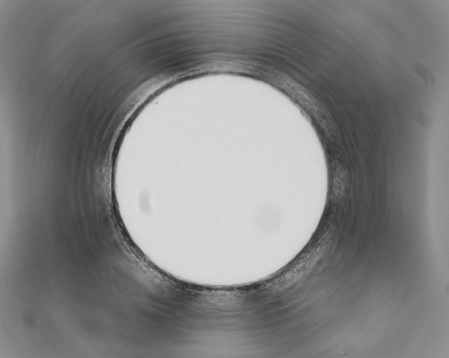 X0000112050836200909010940
