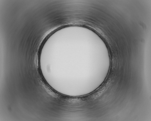 X0000112050838200909010940