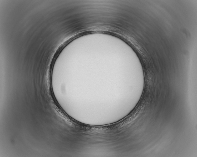 X0000112050840200909010940