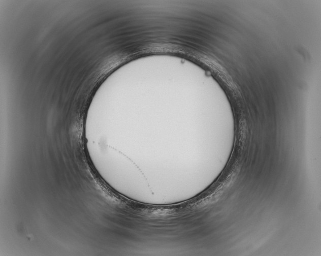 X0000112050841200909010940