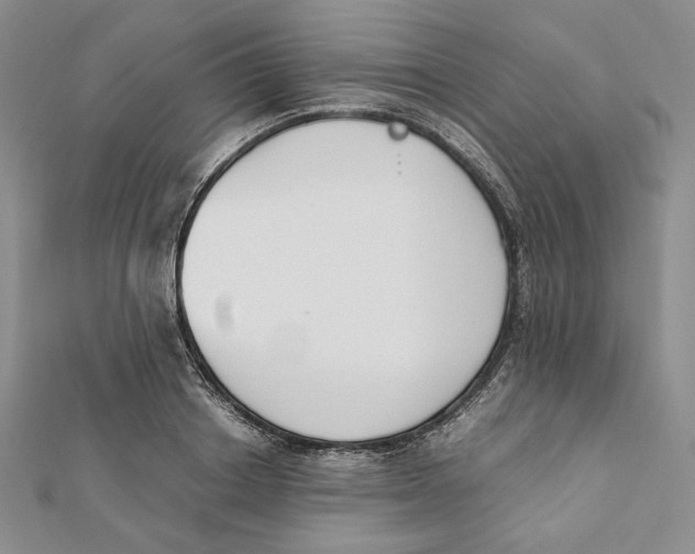 X0000112050842200909010940