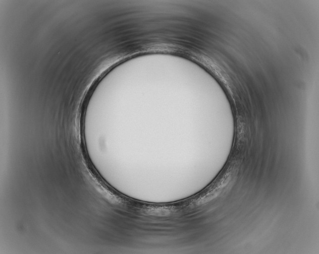 X0000112050843200909010941