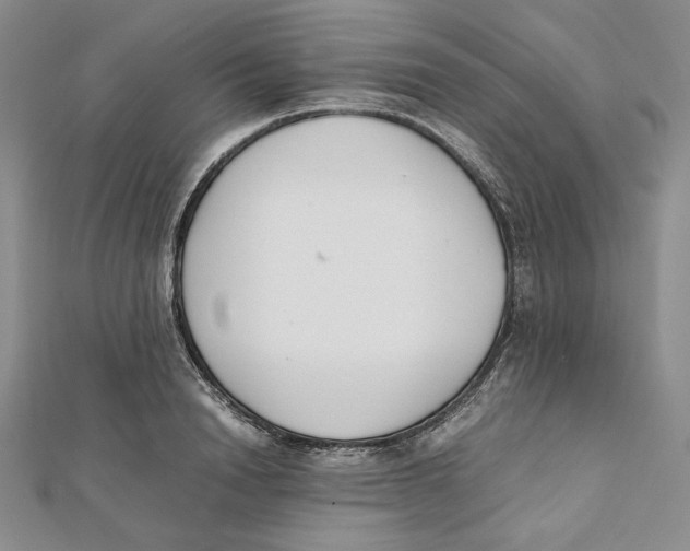 X0000112050846200909010941