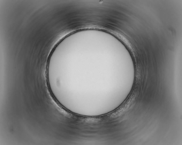 X0000112050847200909010941