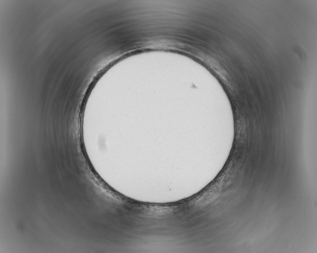 X0000112050848200909010941