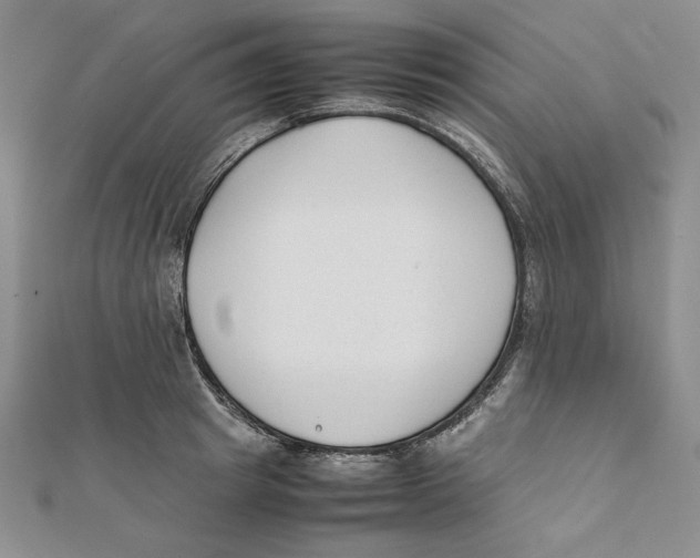 X0000112050849200909010941