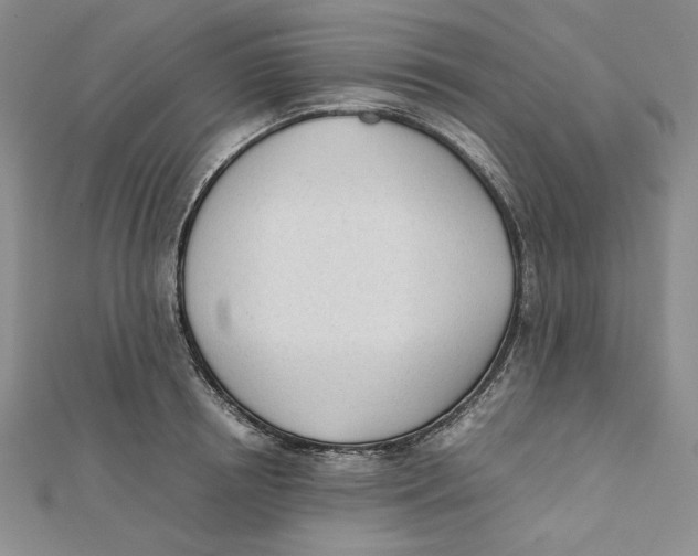 X0000112050850200909010941