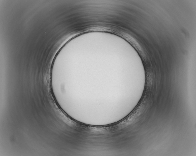 X0000112050852200909010941